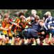 image 22 of 70